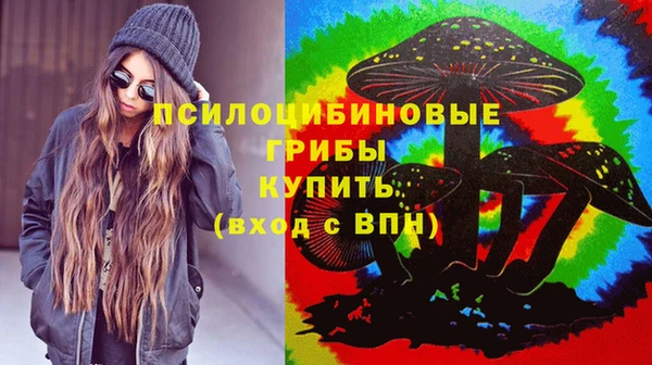 индика Абдулино
