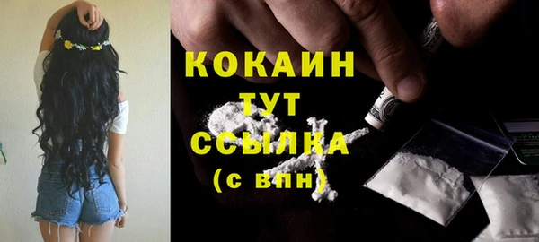 шишки Абинск