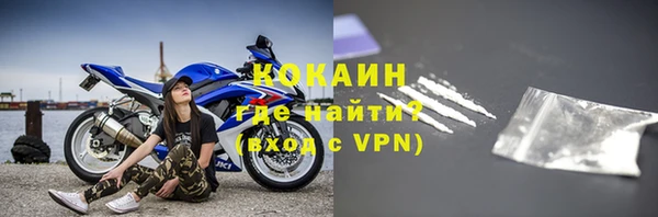 стаф Алзамай