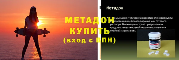 стаф Алзамай
