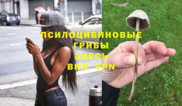 шишки Абинск