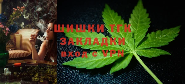 индика Абдулино