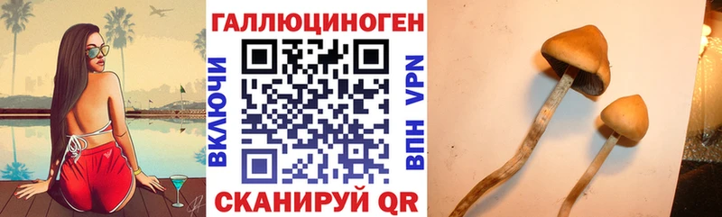 Псилоцибиновые грибы Magic Shrooms  где купить наркоту  Нягань 